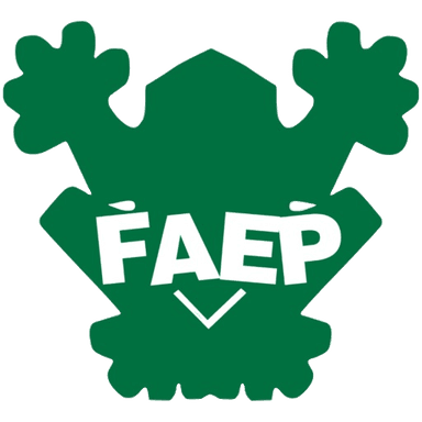 FAEP | Concept Sono